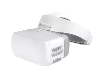 DJI Goggles